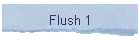 Flush 1